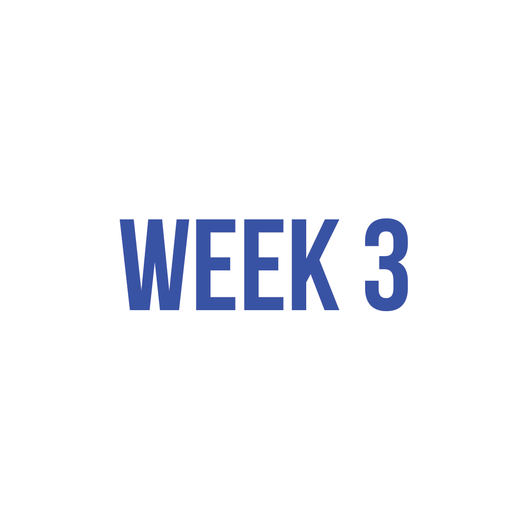 Week 3: Somerset Pop-Up – SANA
