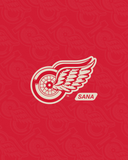 SANA X RED WINGS